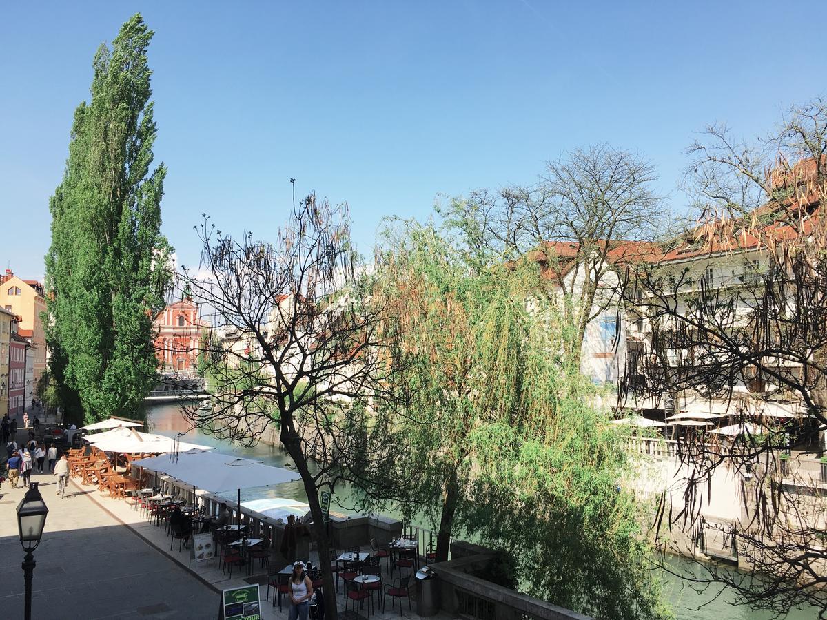 River And Castle View Apartment Rose Tour As ลูบลิยานา ภายนอก รูปภาพ